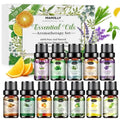 12-Pack: Aromatherapy Essential Oil Kit for Diffuser